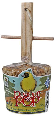 WILD BIRDS PETS