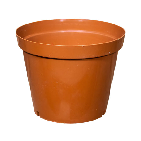 PLASTIC POT 15CM