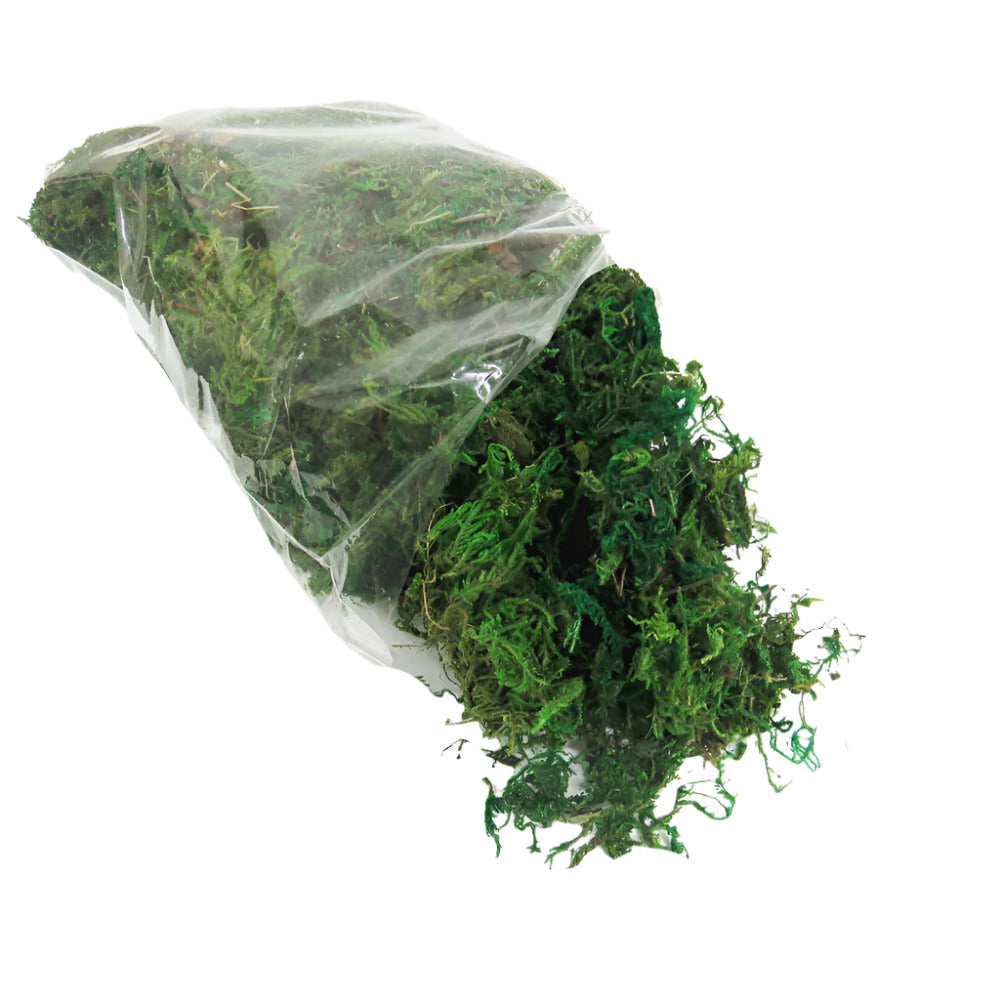 TREE MOSS 200G