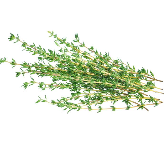 HERB HEALTHY LIVING 12CM