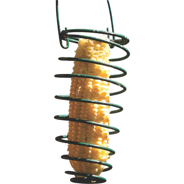 EB FEEDER CORN ON THE COBB