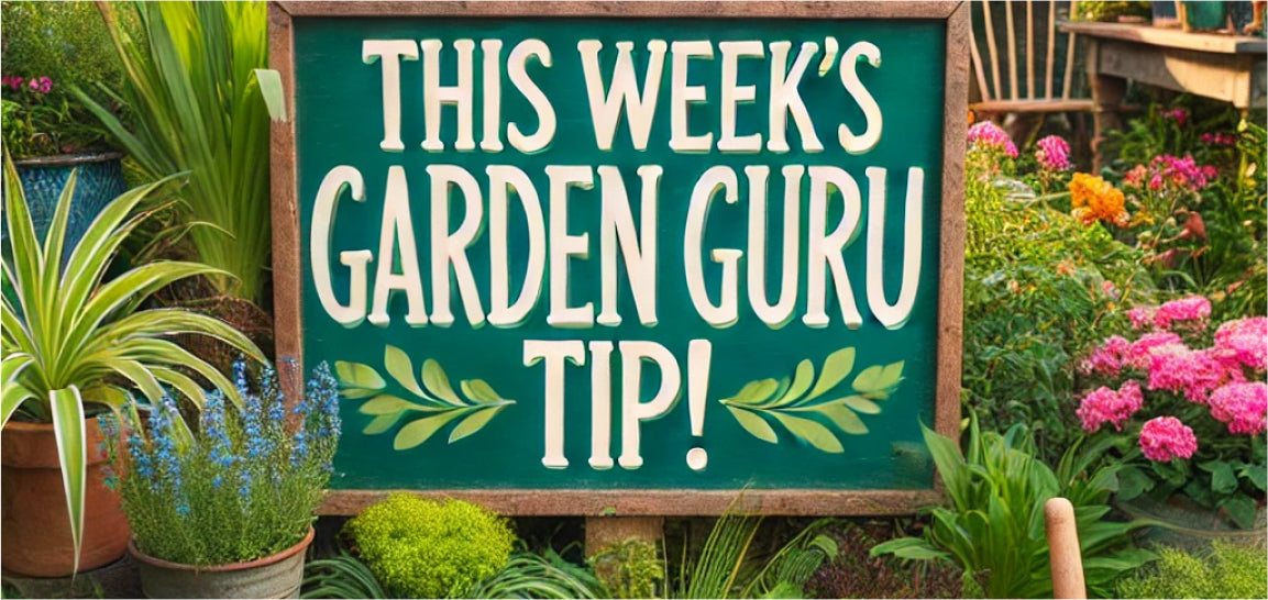 THIS WEEK’S GARDEN GURU TIP!