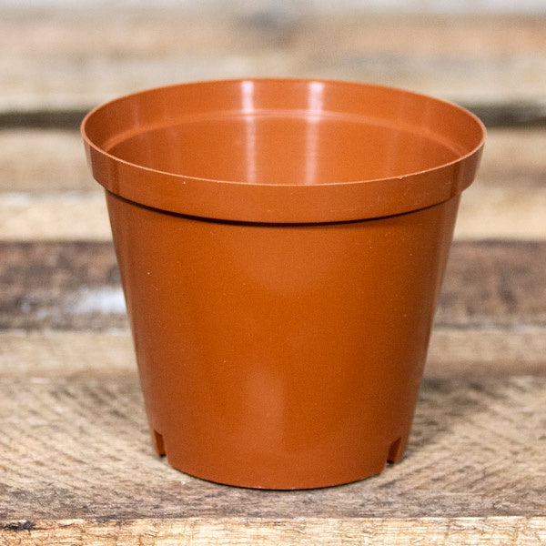 PLASTIC POT 10CM