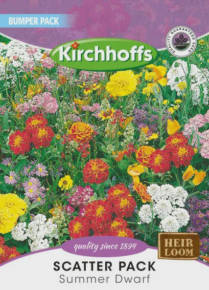 KIRCH SEED BUMPER PACK