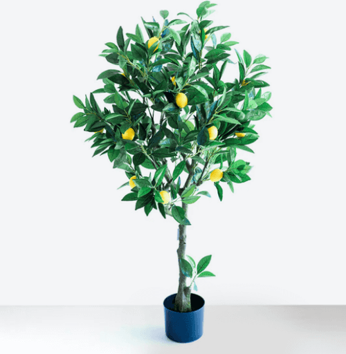 GardenShop