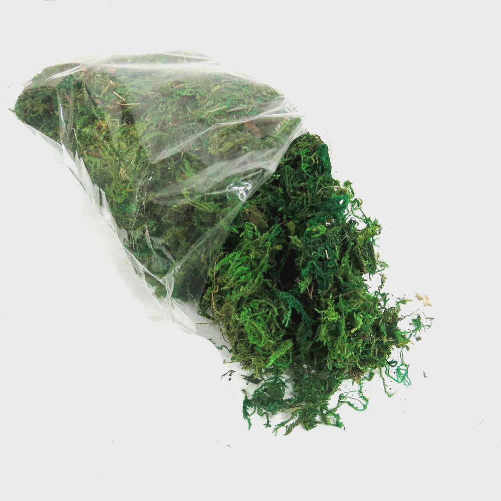 TREE MOSS 200G