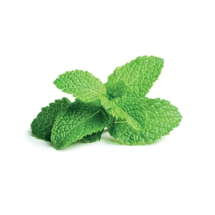 HERB HEALTHY LIVING 12CM