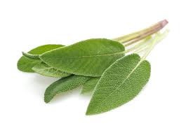 HERB HEALTHY LIVING 12CM