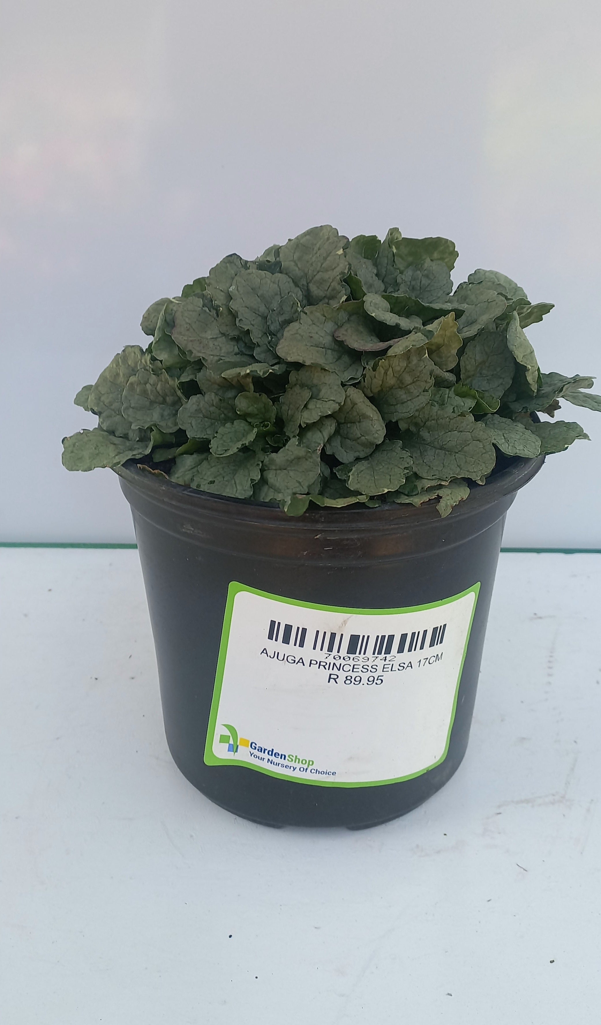 AJUGA PRINCESS ELSA 17CM