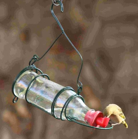 EB NECTAR FEEDER NO2 LARGE