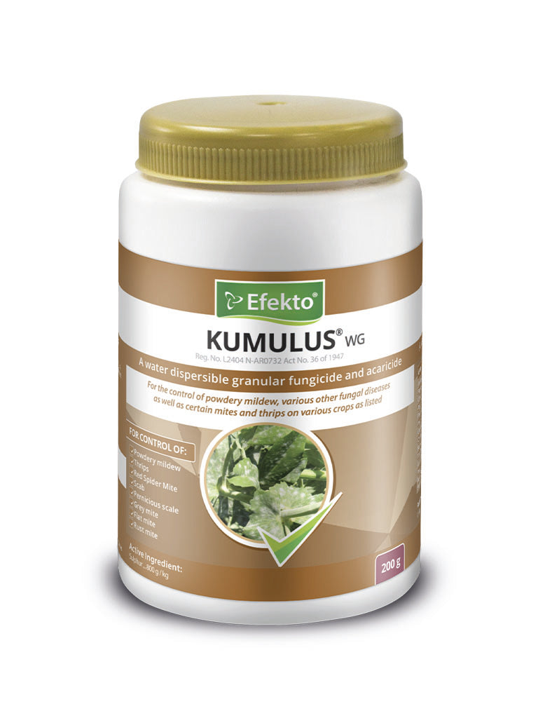 EFEKTO KUMULUS 250G