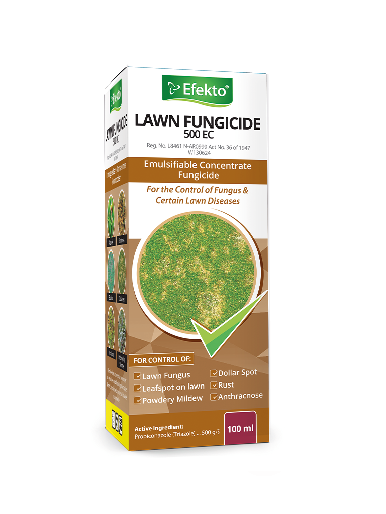 EFEKTO LAWN FUNGICIDE 100ML