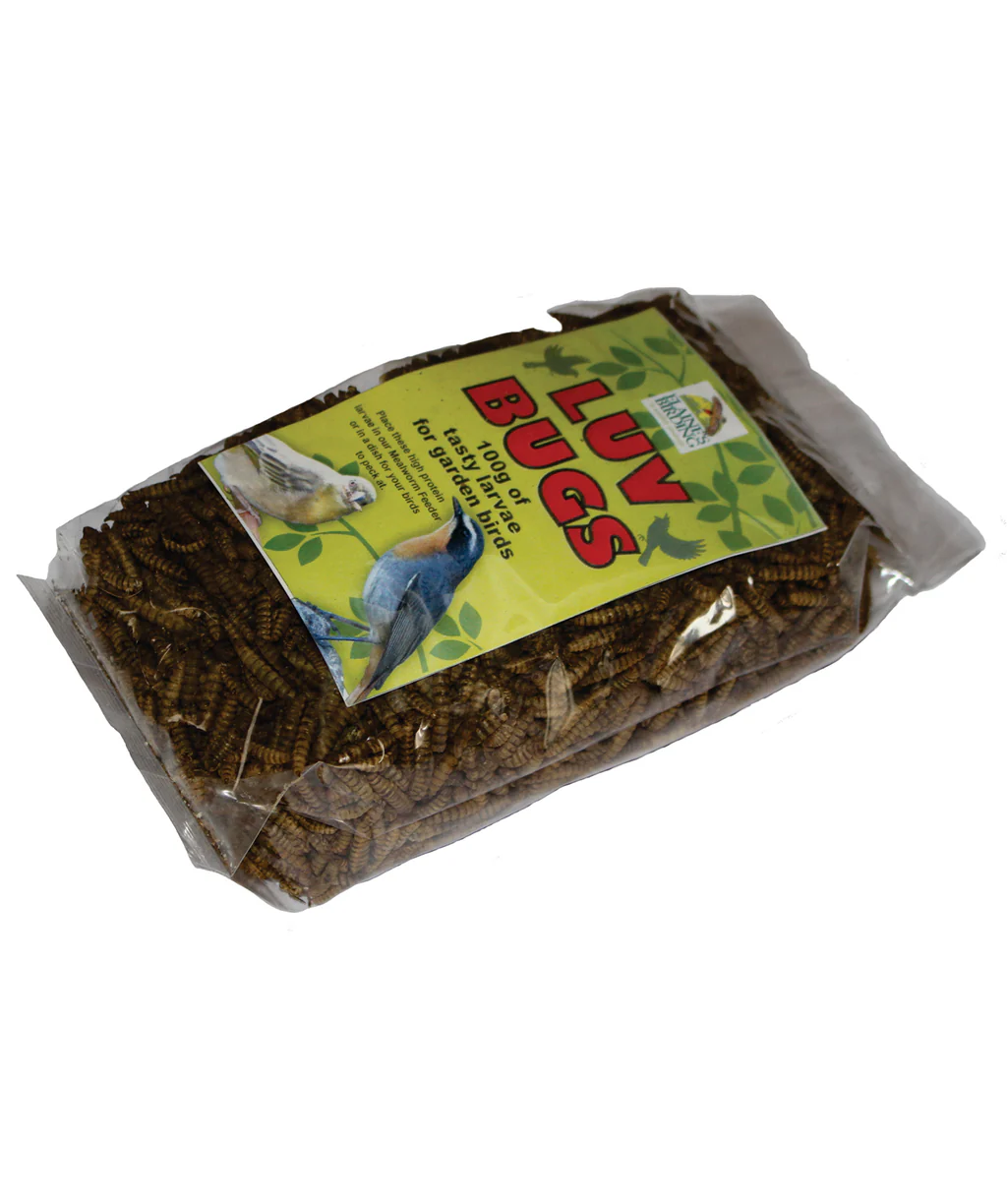 EB LUV BUGS LARVAE 100G