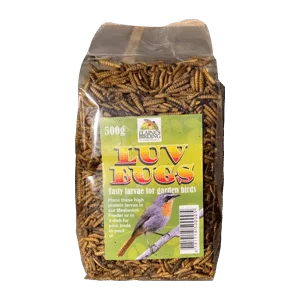 EB LUV BUGS LARVAE 500G