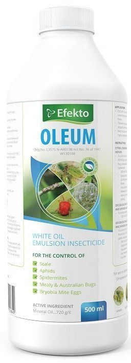 EFEKTO OLEUM 500ML