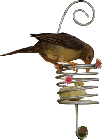 EB FEEDER SUET BALL