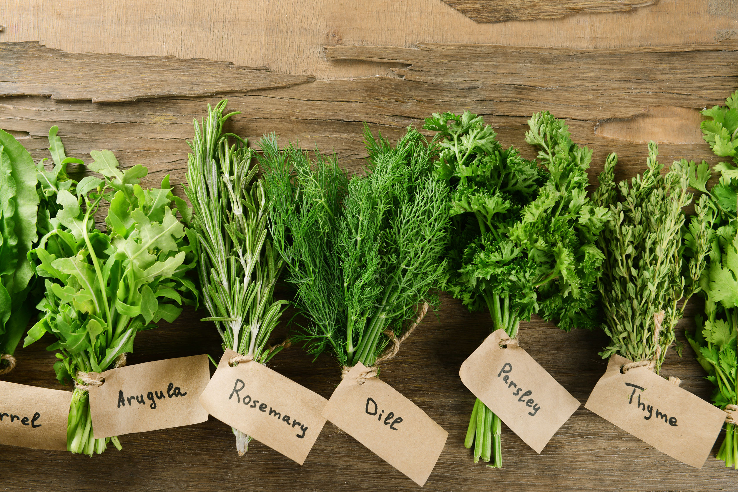 grow light for kitchen herbs