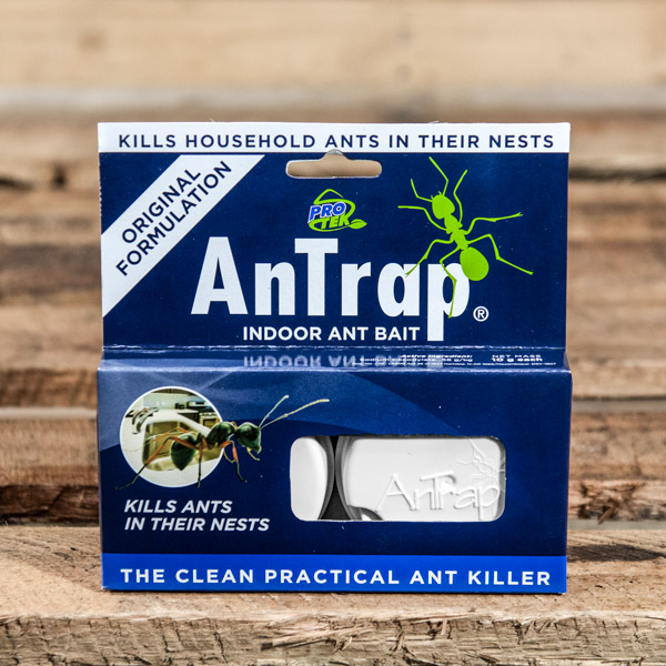 Antrap indoor Ant bait