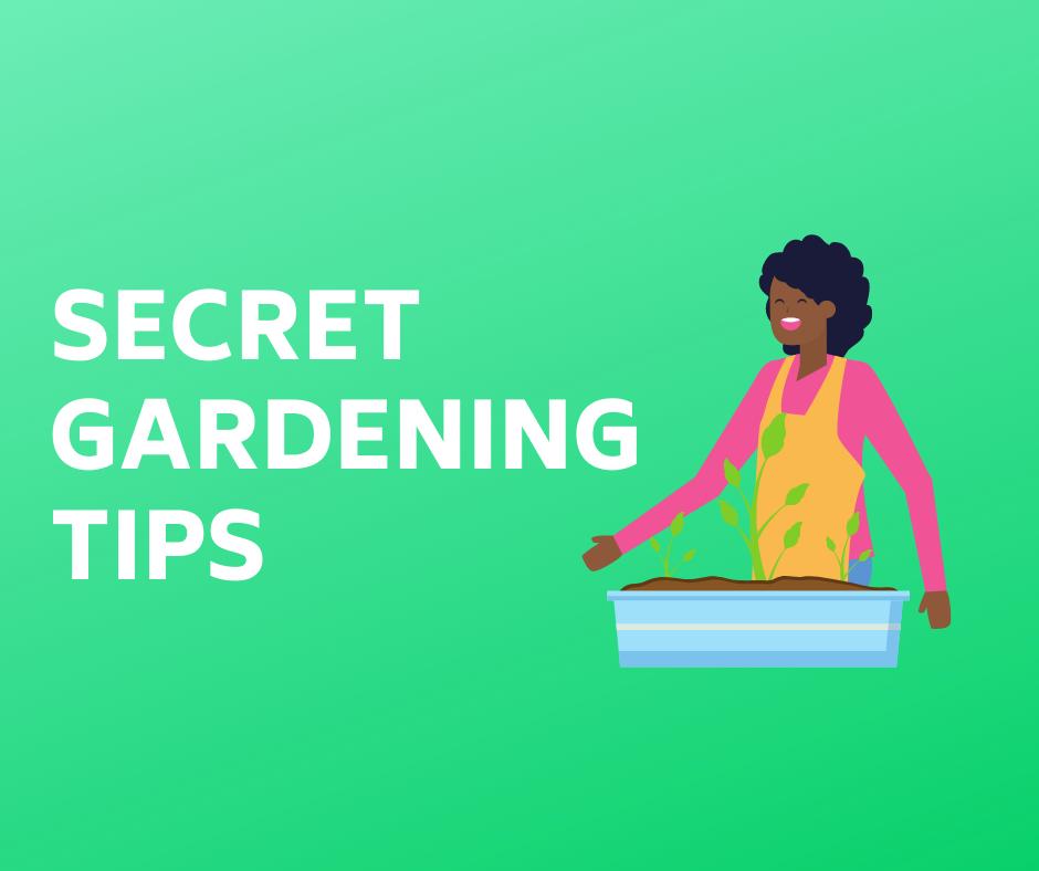 Tips on growing your own fruit trees | Garden Guru Tips | GardenShop